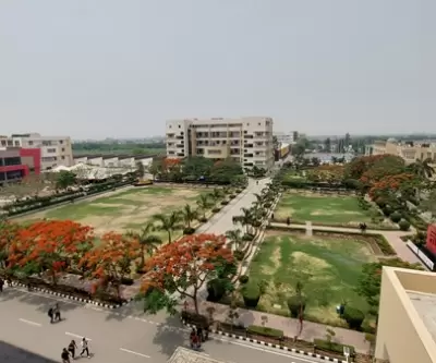 Chitkara University Aerial View