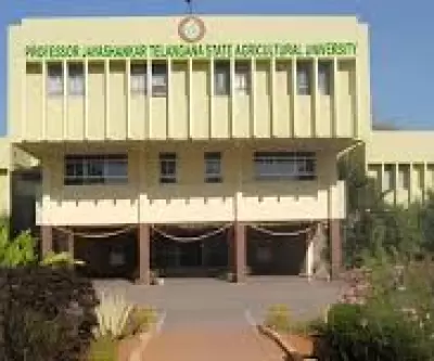 Professor Jayashankar Telangana Agricultural University PJSAU